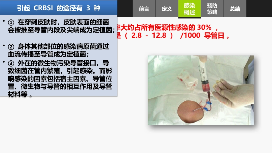 集束化干预在预防中心静脉导管相关性血流感染的应用_第11页