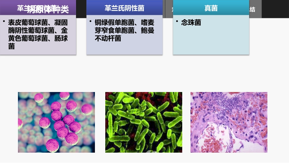 集束化干预在预防中心静脉导管相关性血流感染的应用_第12页