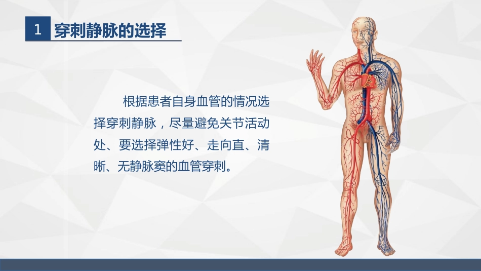 浅静脉留置针应用与维护_第9页