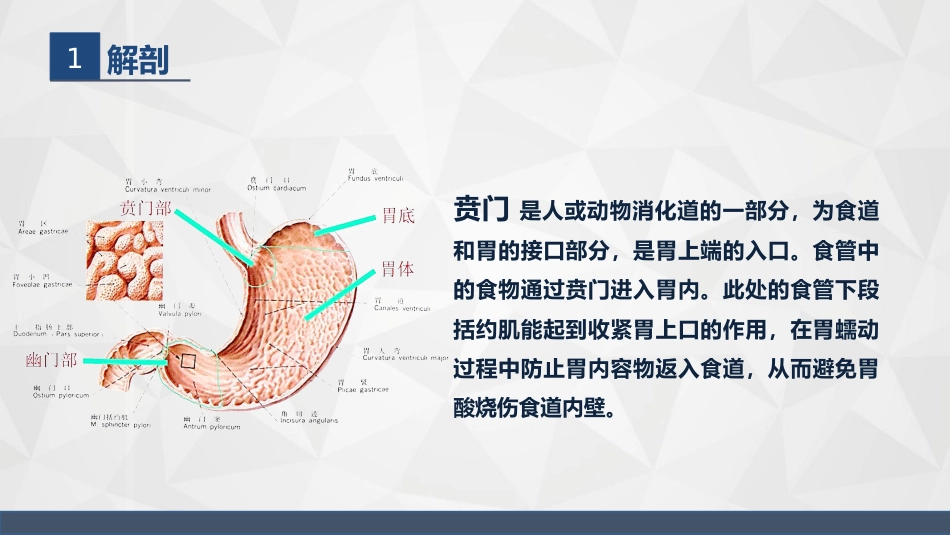 普外科-贲门癌伴脓胸吻合口瘘护理查房2_第4页