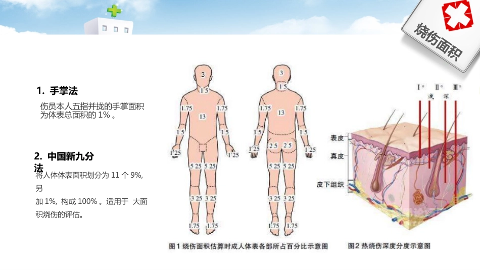 护理烧伤患者培训ppt_第7页