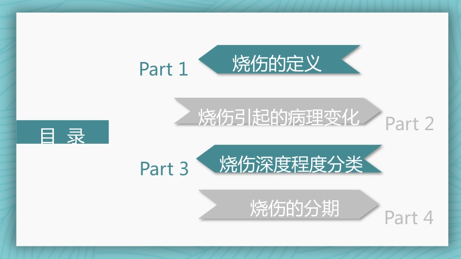 烧伤病人护理教学查房_第2页