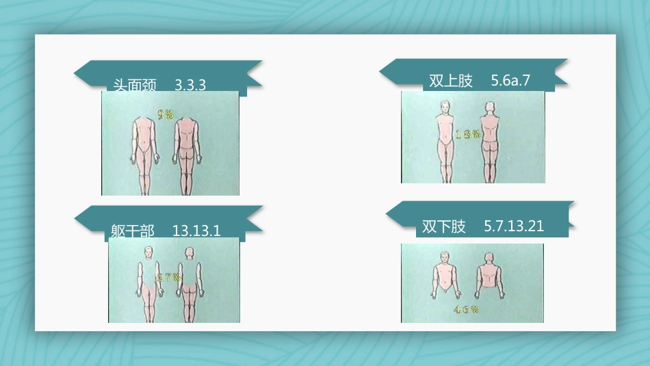烧伤病人护理教学查房_第5页