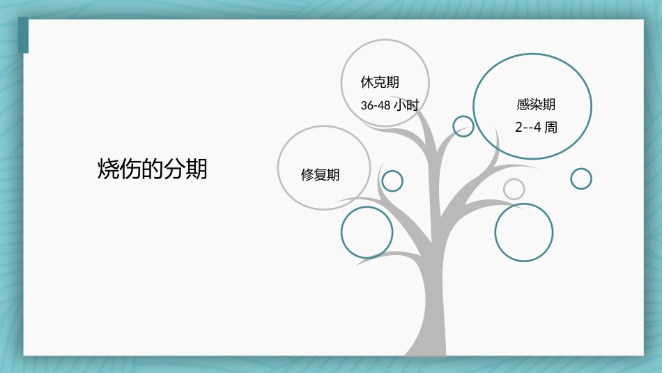 烧伤病人护理教学查房_第8页