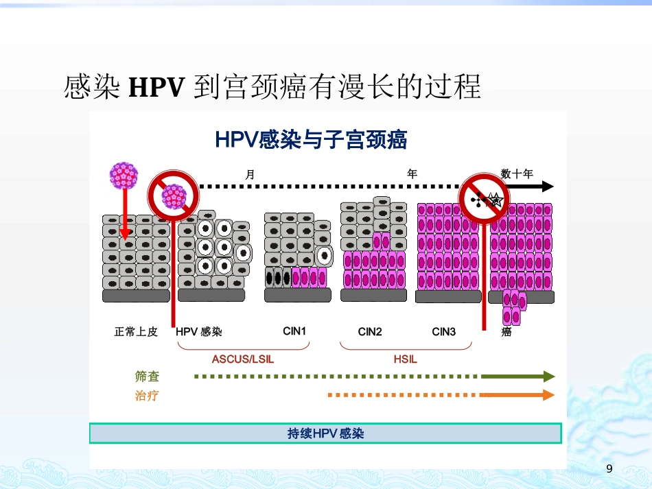 2020关于HPV疫苗与宫颈癌筛查的若干问题_第9页