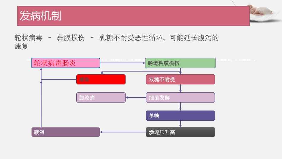 2017年轮状病毒肠炎基本诊疗_第5页
