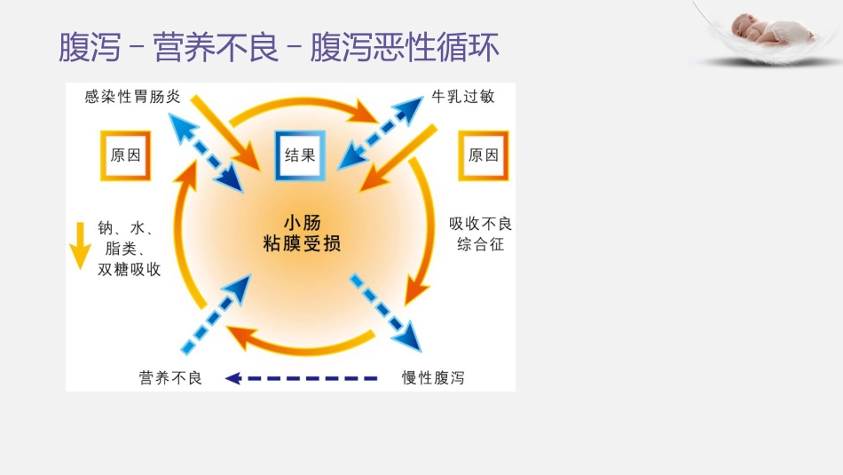 2017年轮状病毒肠炎基本诊疗_第7页
