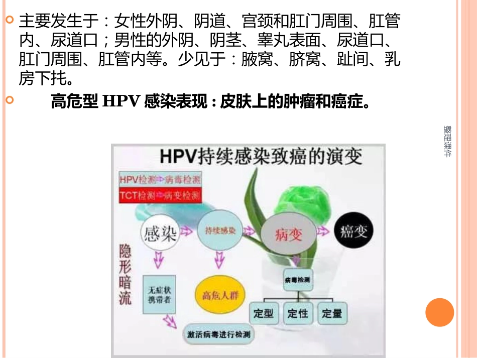 《认识HPV病毒感染》_第12页
