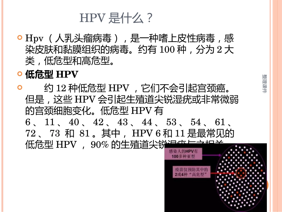 《认识HPV病毒感染》_第3页