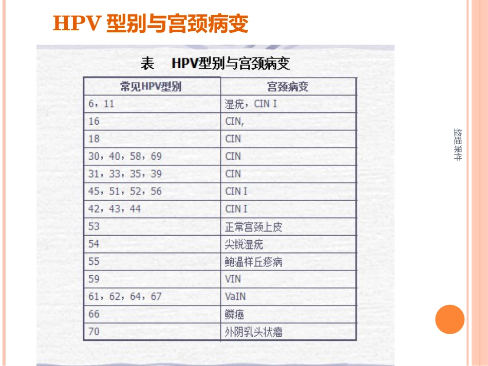 《认识HPV病毒感染》_第6页