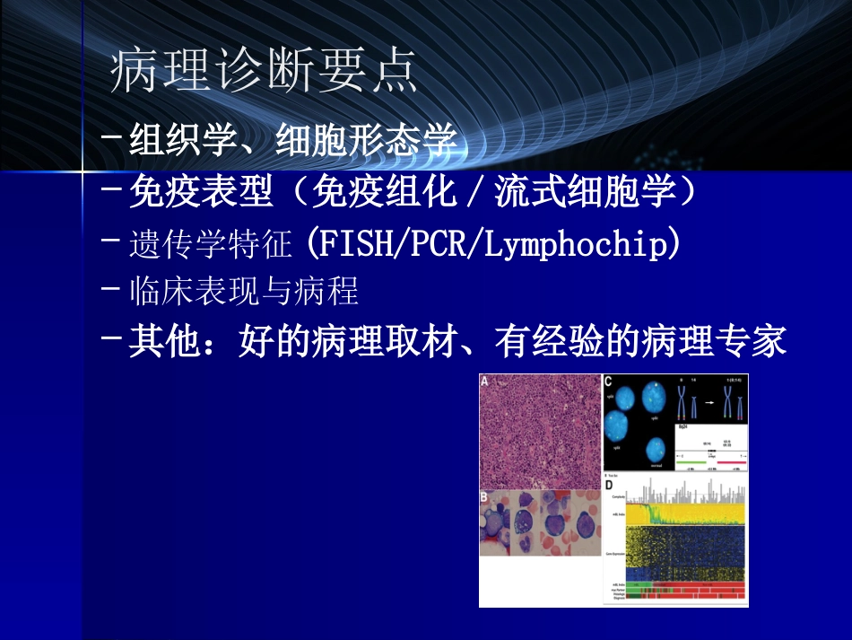 B细胞淋巴瘤的精确诊断_第7页