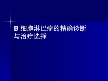 B细胞淋巴瘤的精确诊断