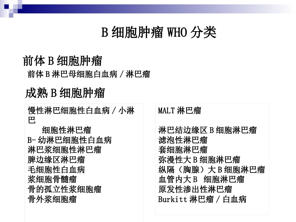 B细胞淋巴瘤的规范诊疗_第2页