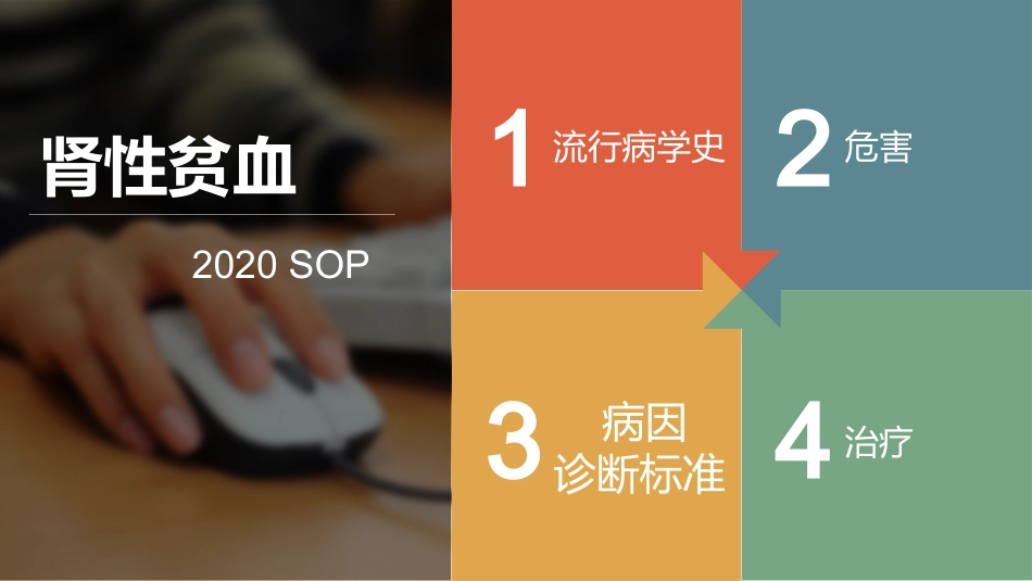 2020 SOP 肾性贫血_第2页