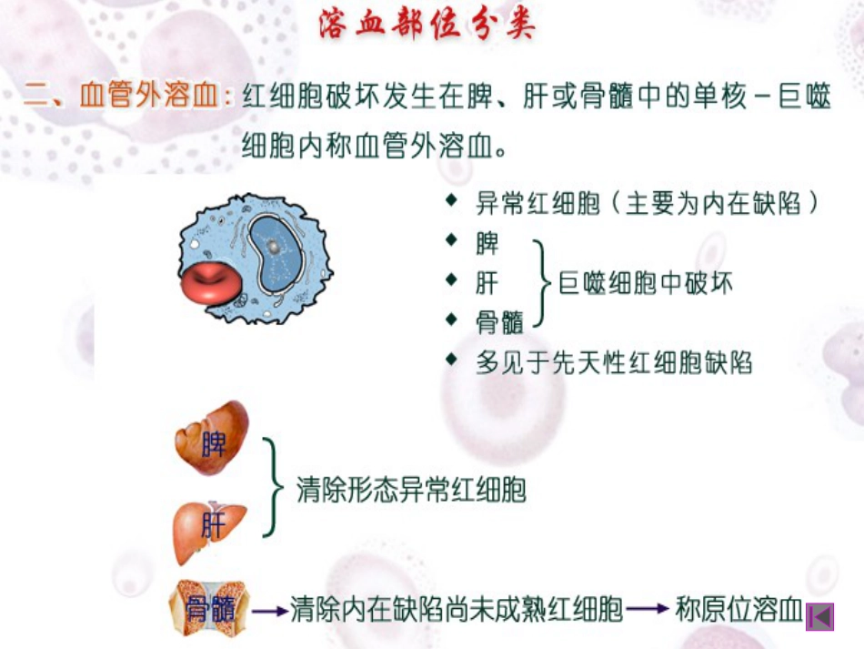 2017溶血性贫血_第11页