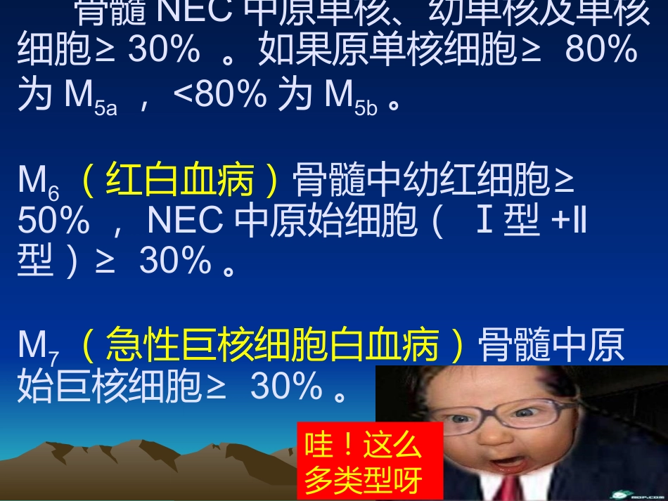 《急性白血病》PPT课件_第12页