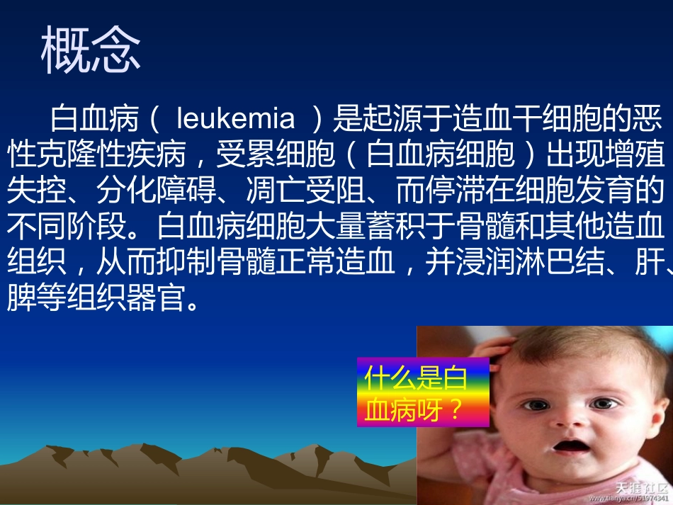 《急性白血病》PPT课件_第5页