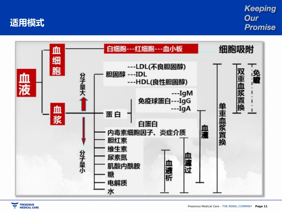 双重血浆置换_第11页