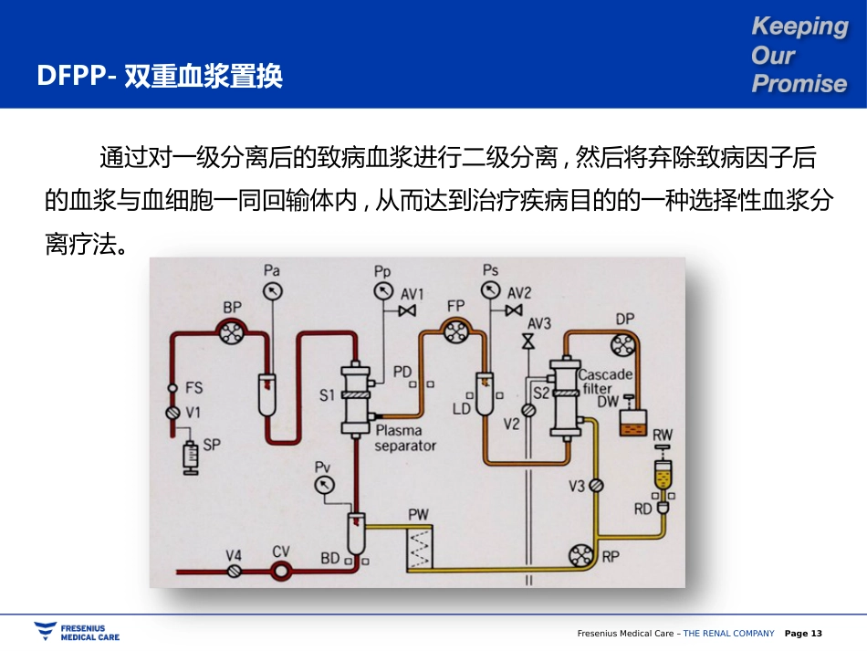 双重血浆置换_第13页