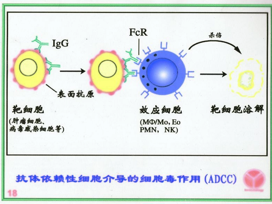 利妥昔单抗用药注意事项_第7页