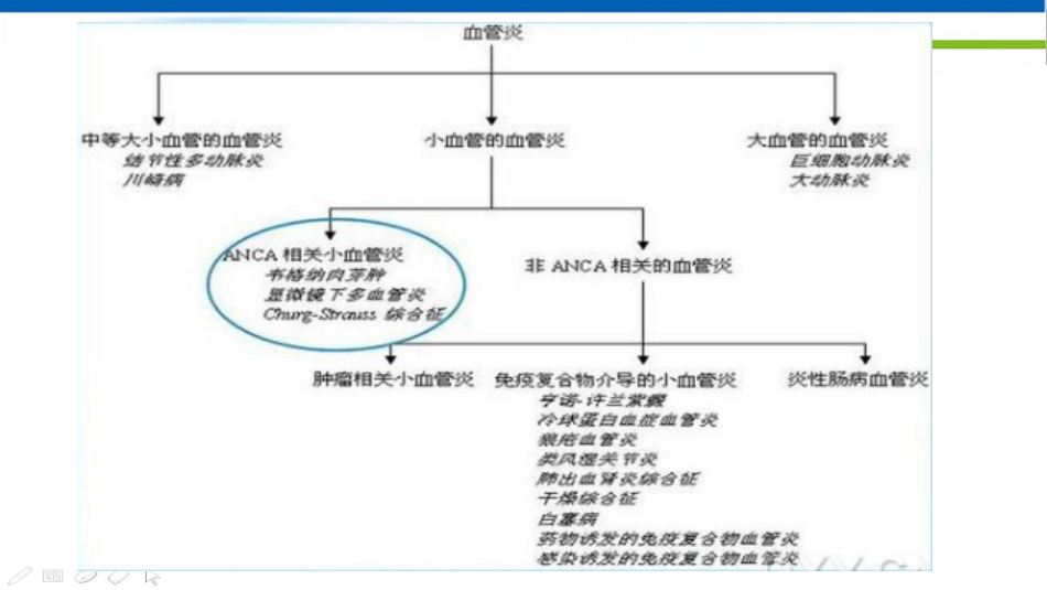 ANCA相关性血管炎 ppt课件_第3页