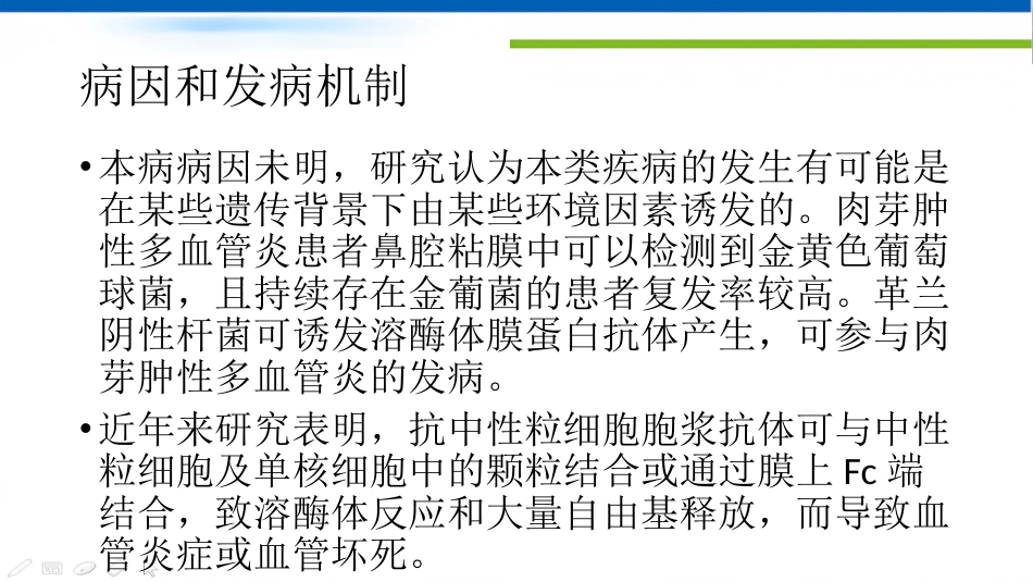 ANCA相关性血管炎 ppt课件_第5页