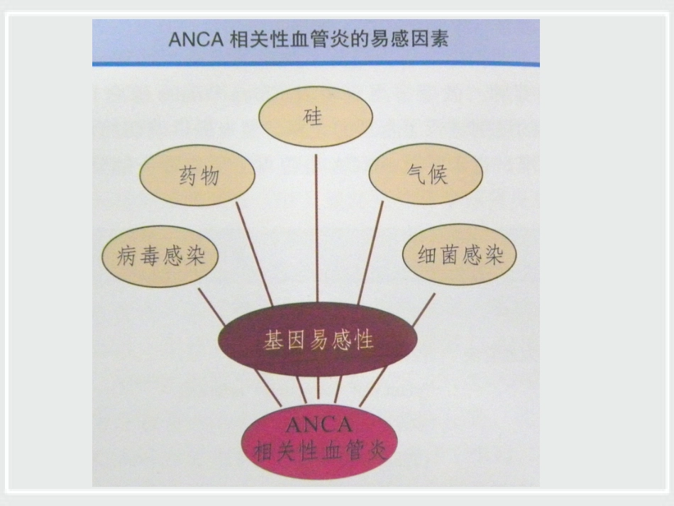 ANCA相关性小血管炎诊治进展_第7页