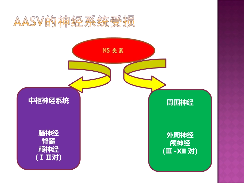 ANCA相关性小血管炎的神经系统损害_第13页