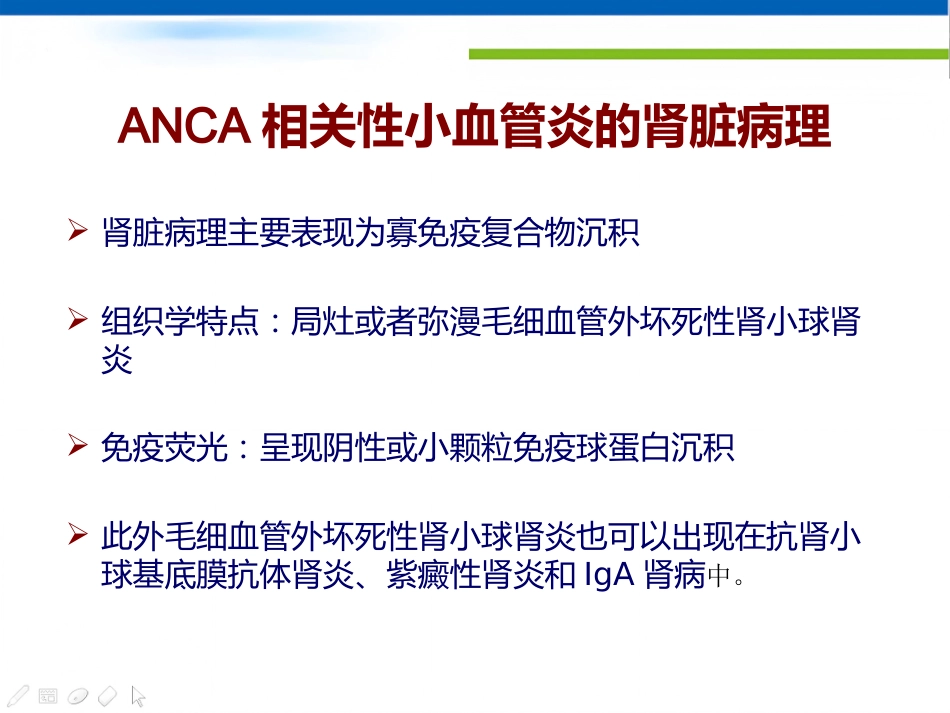 ANCA相关性小血管炎_第5页