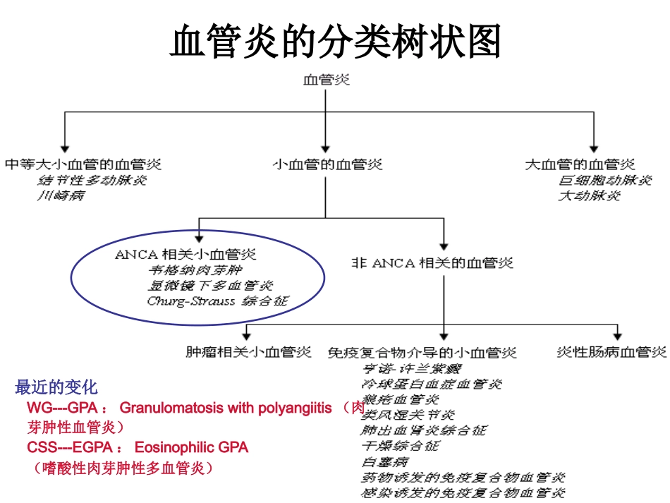 ANCA相关性小血管炎(2)_第4页