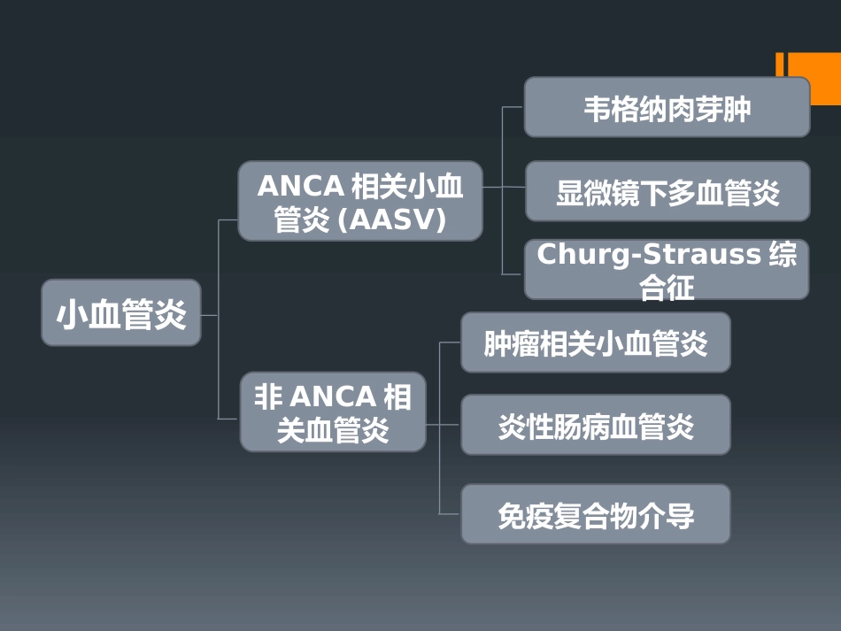 ANCA相关性小血管炎(1)_第4页