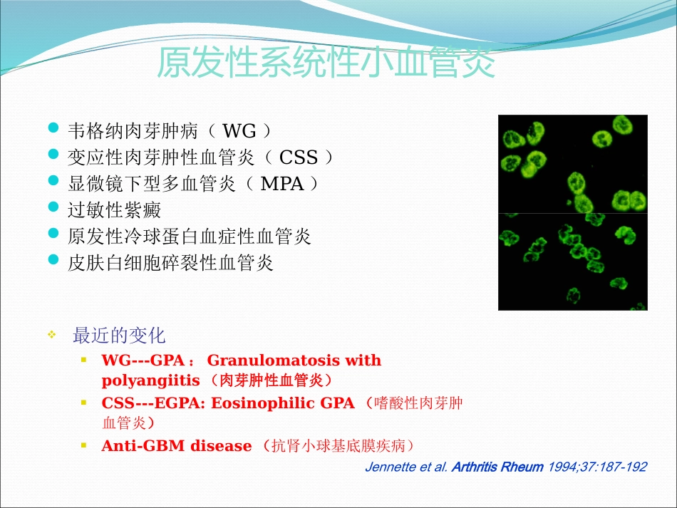 ANCA相关小血管炎的诊断和治疗_第3页