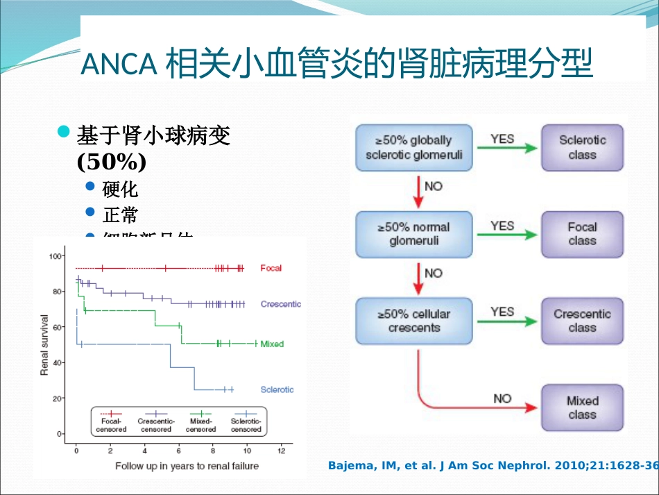 ANCA相关小血管炎的诊断和治疗_第4页