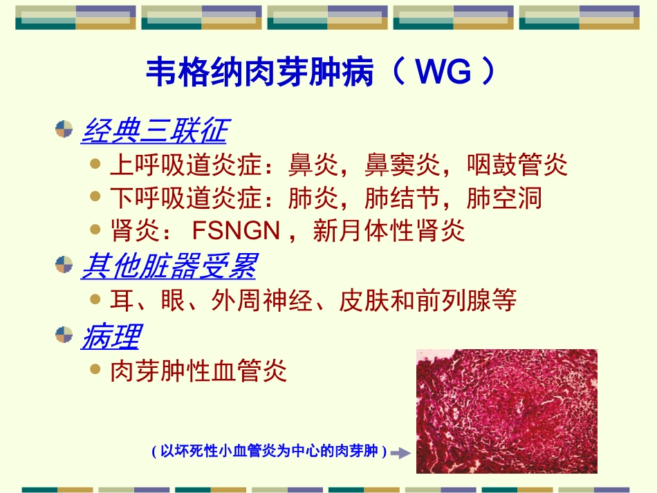 ANCA相关小血管炎_第6页