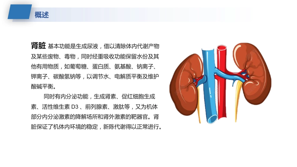 肾病综合征的护理业务学习课件_第4页