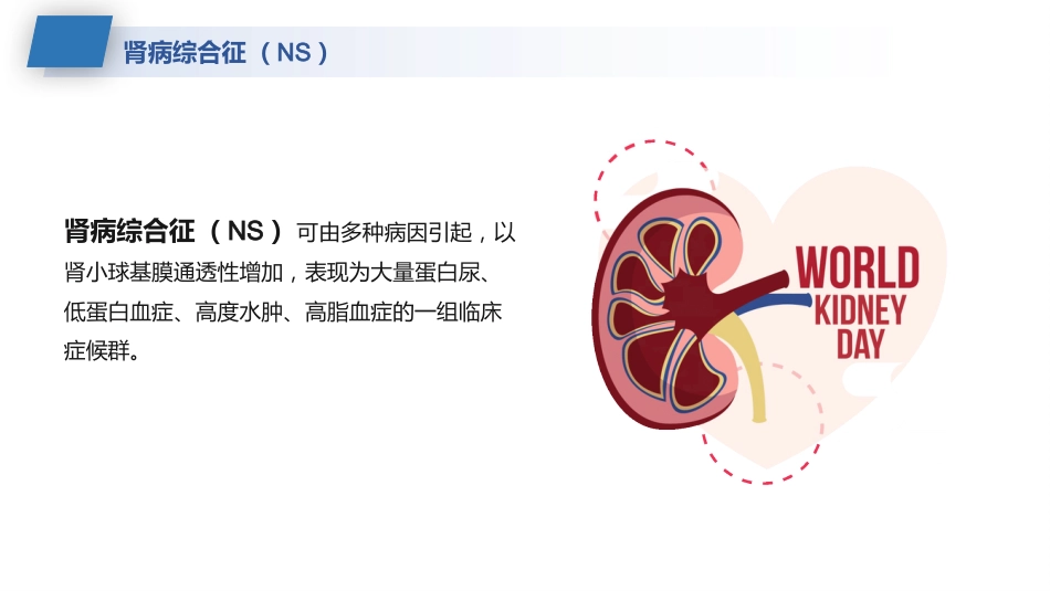 肾病综合征的护理业务学习课件_第6页