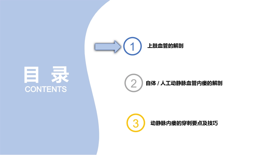 动静脉内瘘血管解剖及穿刺技巧_第2页