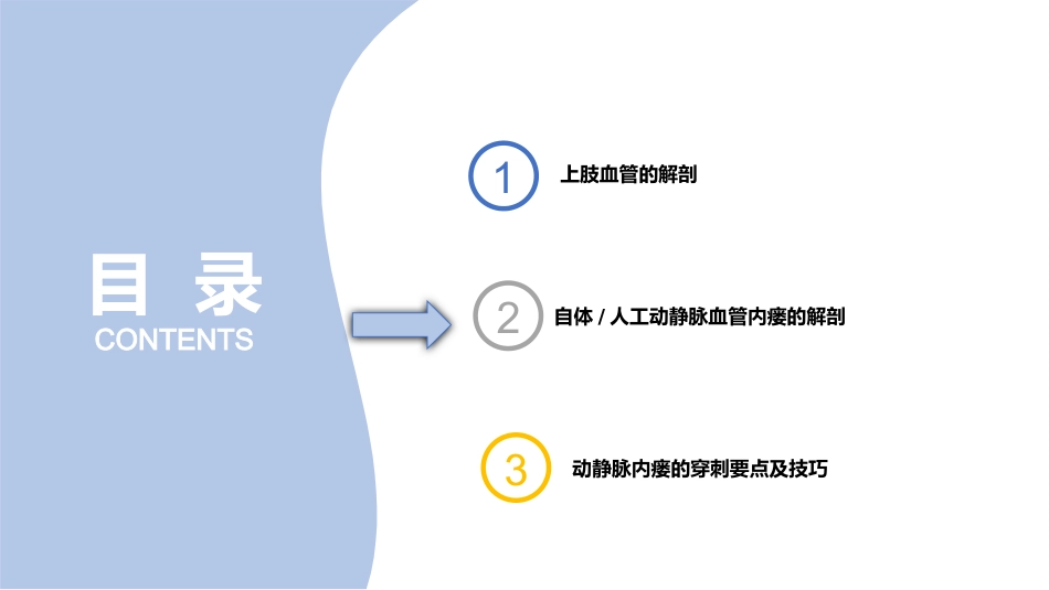动静脉内瘘血管解剖及穿刺技巧_第9页