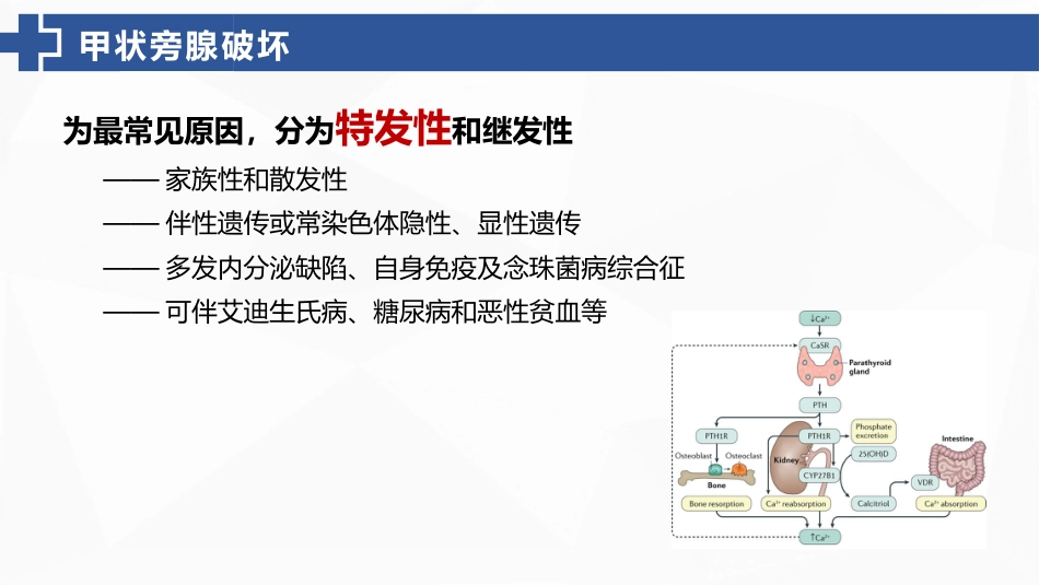甲状旁腺功能减退症的护理_第10页