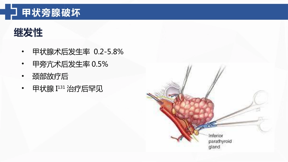 甲状旁腺功能减退症的护理_第11页