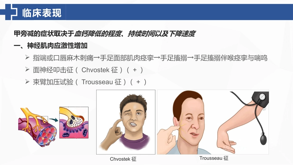 甲状旁腺功能减退症的护理_第14页