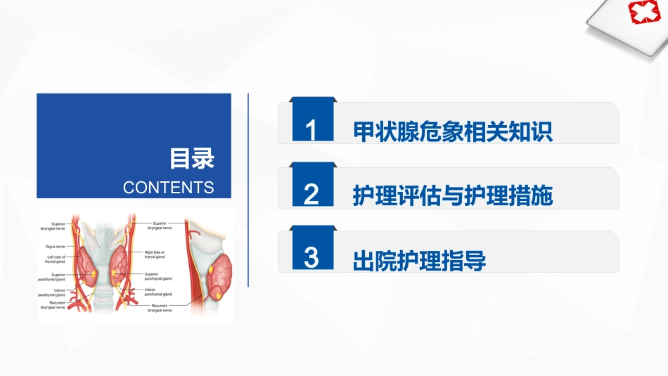甲状旁腺功能减退症的护理_第2页