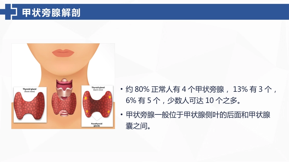 甲状旁腺功能减退症的护理_第4页