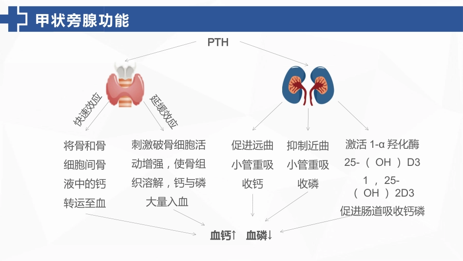 甲状旁腺功能减退症的护理_第5页