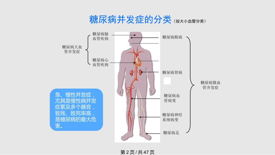 糖尿病慢性并发症及其防治PPT课件_第2页
