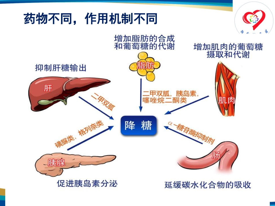 糖尿病患者教育——糖尿病口服药物治疗_第5页