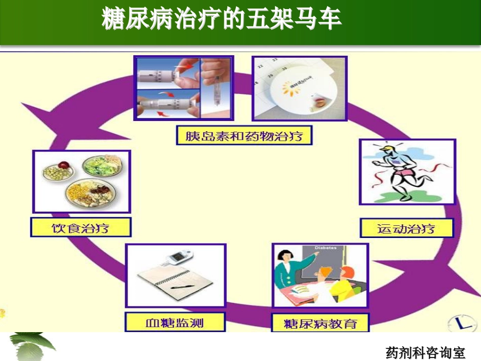 尿病及药学服务_第12页