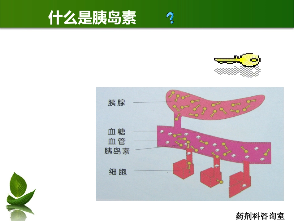 尿病及药学服务_第4页