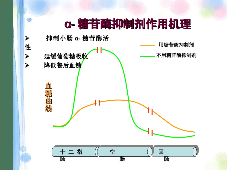 口服降糖药物PPT课件_第14页