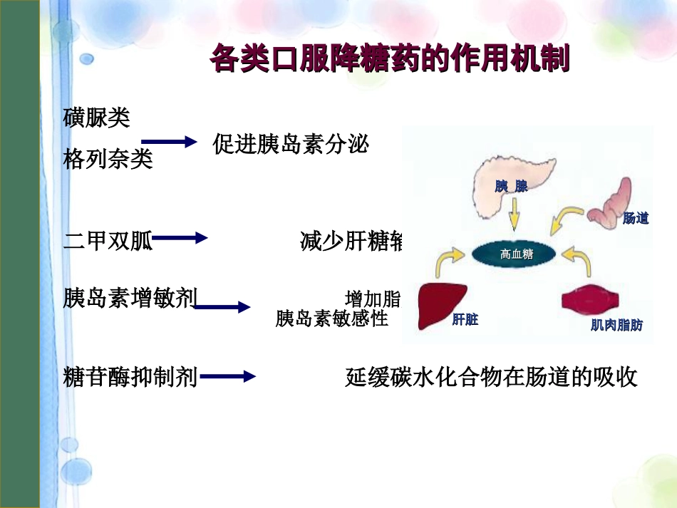 口服降糖药物PPT课件_第5页